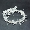 Natural Quartz Crystal Beads Strands G-P368-10-2