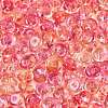 Transparent Colours Glass Seed Beads SEED-Q042-01A-A05-3