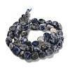 Natural Blue Spot Jasper Beads Strands G-P497-01E-67-3