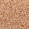 TOHO 11/0 Round Beads X-SEED-TR11-PF2111-2
