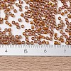 MIYUKI Delica Beads SEED-J020-DB1779-4