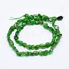 Natural Green Diopside Beads Strands G-K203-53-2