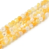 Natural Yellow Shell Beads Strands SHEL-M021-03A-1