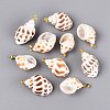 Brass & Natural Spiral Shell Pendants SHEL-Q029-16KCG-1