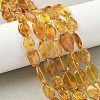 Natural Amber Beads Strands G-L095-C01-05-1