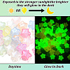 Luminous Transparent Acrylic Beads LACR-TA0001-02-5