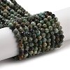 Natural African Turquoise(Jasper) Beads Strands G-G140-A11-03-1