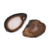 Dyed & Heated Natural Agate Slice Cabochons GG-CBAAF67-01G-2