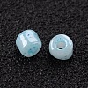 6/0 Glass Seed Beads SEED-US0003-4mm-143-2