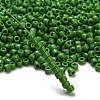 TOHO 6/0 Round Beads SEED-TR06-0047-2