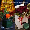 12Pcs DIY Flower Arrangement Kit sgAJEW-SZ0001-74-7
