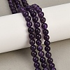 Natural Amethyst Beads Strands G-R446-6MM-21A-2
