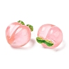 Semi-stereoscopic Transparent Resin Cabochons RESI-G072-01A-2