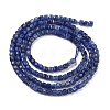 Natural Sodalite Beads Strands G-H042-B08-01-3