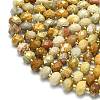 Natural Fossil Coral Beads Strands G-P573-A02-01-3