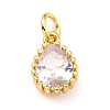 Brass Micro Pave Cubic Zirconia Pendants ZIRC-D120-01G-08-2