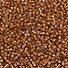 MIYUKI Delica Beads SEED-X0054-DB1734-3