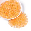 Transparent Inside Colours Glass Seed Beads SEED-T007-11G-3