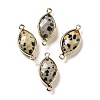 Natural Dalmatian Jasper Faceted Connector Charms G-K347-03G-12-1