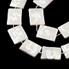 Plating Natural Freshwater Shell Beads Strands SHEL-N026-222-3