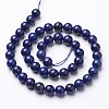 Dyed Grade A Natural Lapis Lazuli Beads Strands X-GSR8mmC123-4