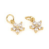 Brass Micro Pave Cubic Zirconia Charms X-ZIRC-L096-10G-1