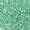 8/0 Glass Seed Beads X1-SEED-A015-3mm-2219-2