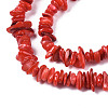 Natural Freshwater Shell Beads Strands SHEL-S278-071-4