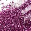 TOHO Round Seed Beads SEED-JPTR15-2107-1