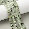 Natural Prehnite Beads Strands G-C179-A51-03-1