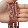 Natural Strawberry Quartz Beads Strands G-A280-C12-01-1