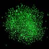 Luminous Glass Seed Beads X1-SEED-A033-07I-5
