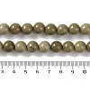 Natural Alashan Agate Beads Strands G-P530-B05-04-5