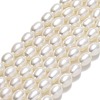 Natural Cultured Freshwater Pearl Beads Strands PEAR-J006-20A-01-1