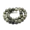 Natural Labradorite Bead Strands G-P256-01-10mm-2