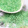 Transparent Glass Round Seed Beads SEED-B001-05A-06-1