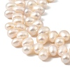 Natural Cultured Freshwater Pearl Beads Strands PEAR-I007-04E-01A-4