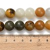 Natural Butter Jade Beads Strands G-C289-B03-12mm-5