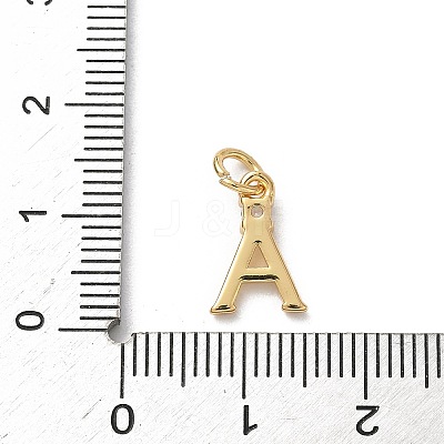 Brass Micro Pave Clear Cubic Zirconia Charms KK-A273-01G-1