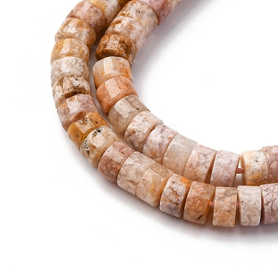 Natural Cherry Blossom Agate Beads Strands G-Z006-C48-1