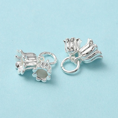 Rack Plating Brass Charms KK-C020-02S-1