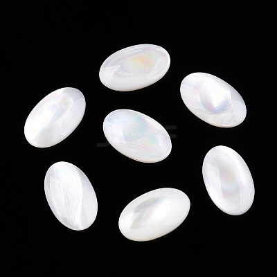 Natural White Shell Cabochons SSHEL-T017-06-1