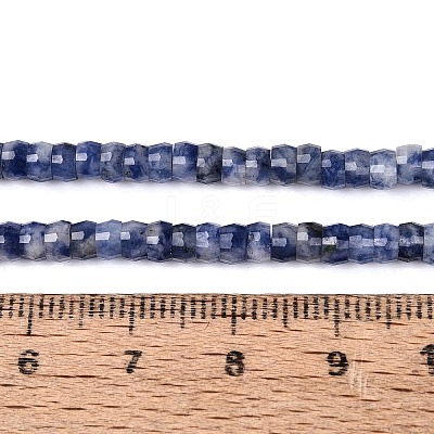 Natural Blue Spot Jasper Beads Strands G-Q606-46A-02-1