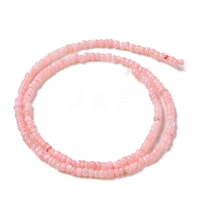 Natural Freshwater Shell Beads Strands SHEL-P017-01B-09-1