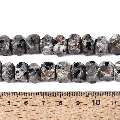 Natural Syenite Beads Strands G-D091-A32-1