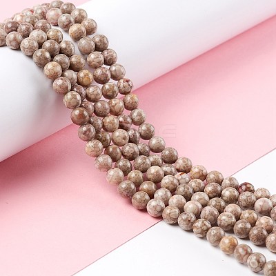 Natural Maifanite/Maifan Stone Beads Strands G-P451-01B-B-1