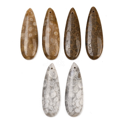 Natural Fossil Coral Pendants G-B187-01C-05-1