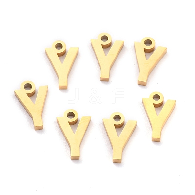 304 Stainless Steel Pendants STAS-F267-10G-G-1