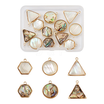 12Pcs 6 Styles Natural Shell Pendant Sets SHEL-CD0001-03-1