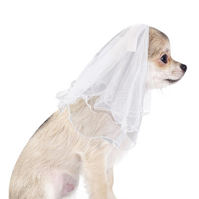 Adjustable Polyester Dog Collar & Wedding Bride Veil Sets AJEW-DR0001-74-1